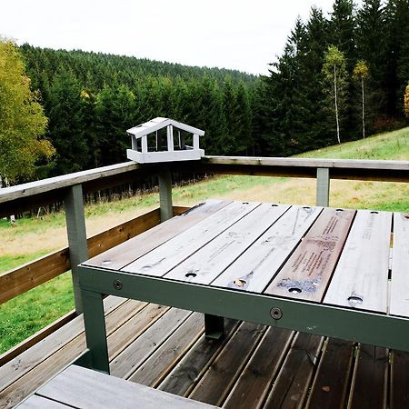 Chalet Le Forestier 比林根 外观 照片