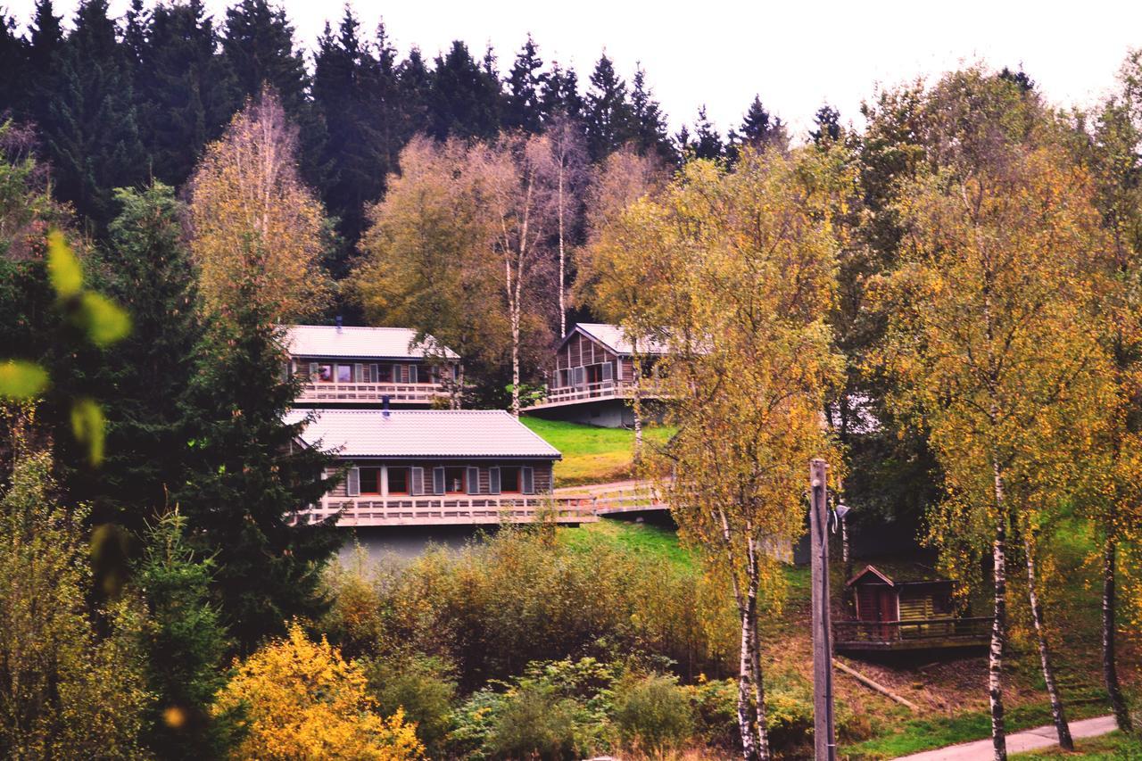 Chalet Le Forestier 比林根 外观 照片