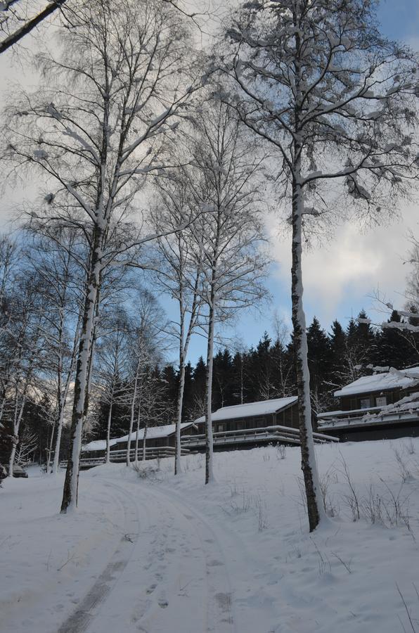 Chalet Le Forestier 比林根 外观 照片