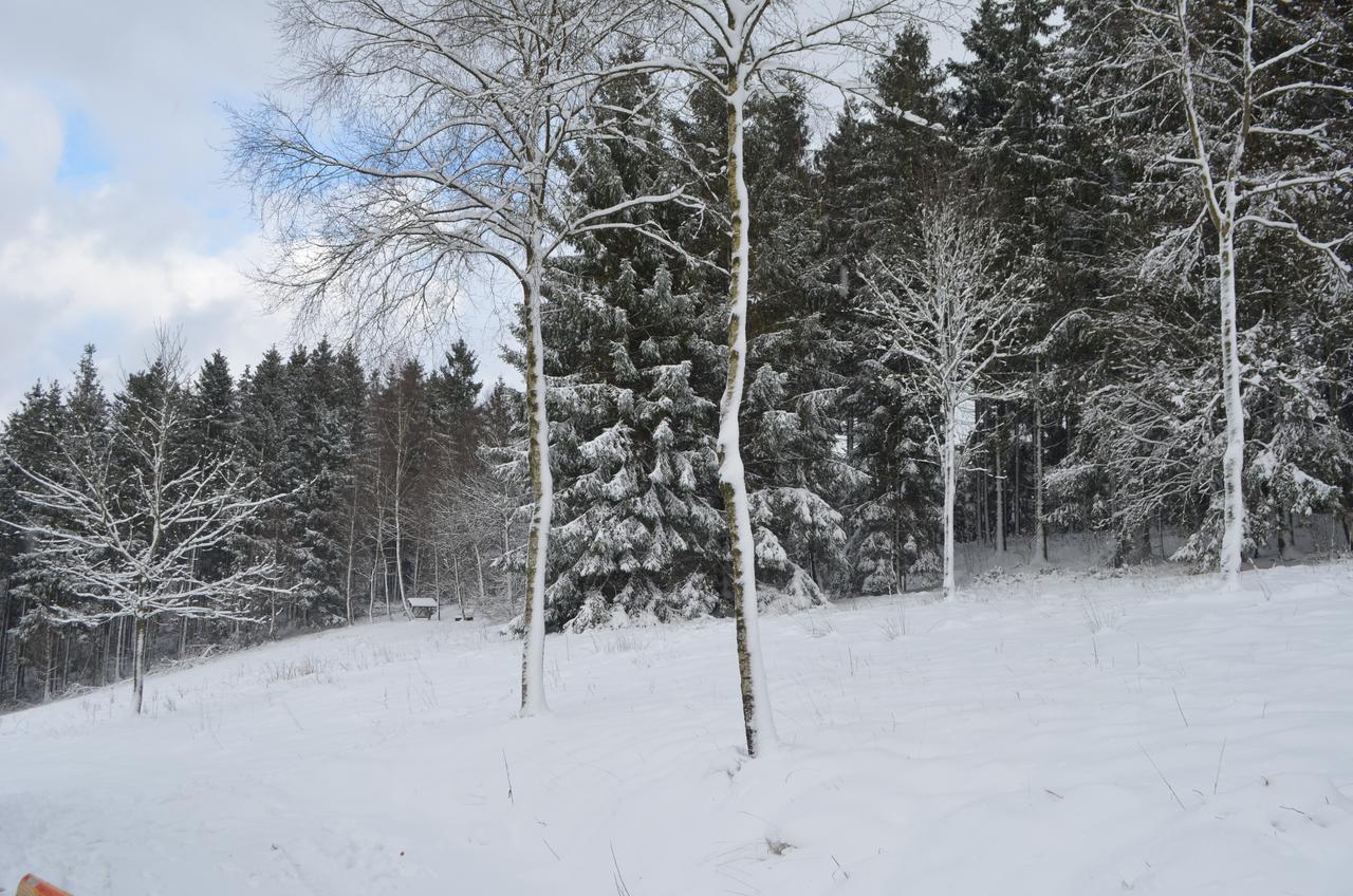 Chalet Le Forestier 比林根 外观 照片