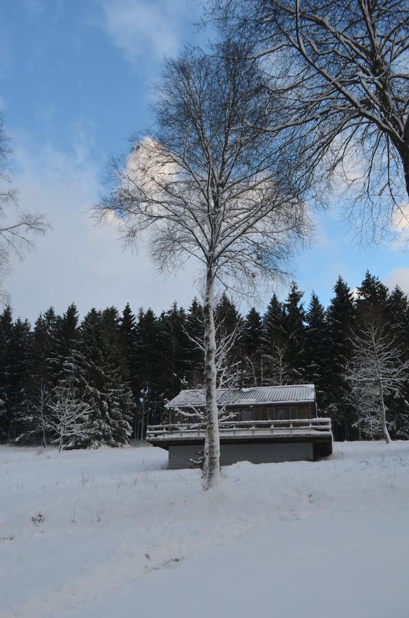 Chalet Le Forestier 比林根 外观 照片