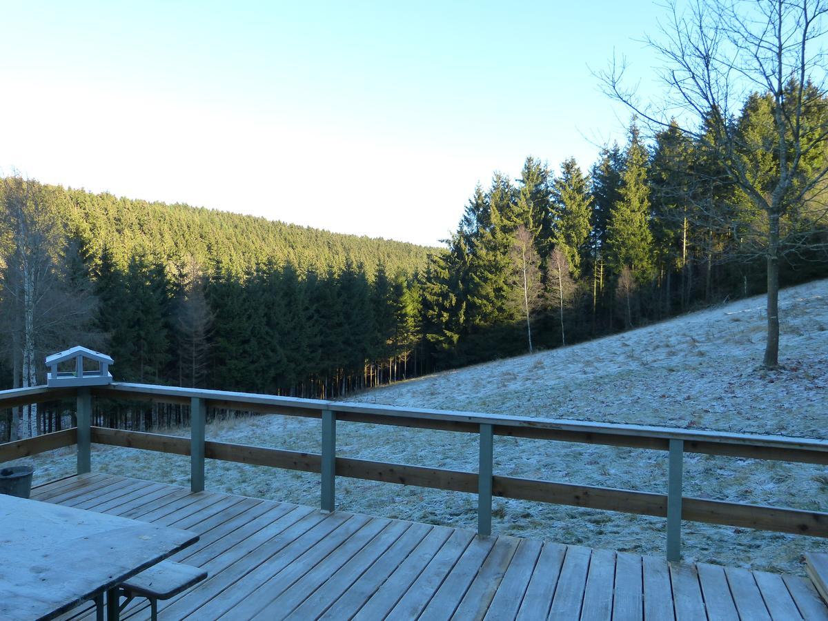 Chalet Le Forestier 比林根 外观 照片