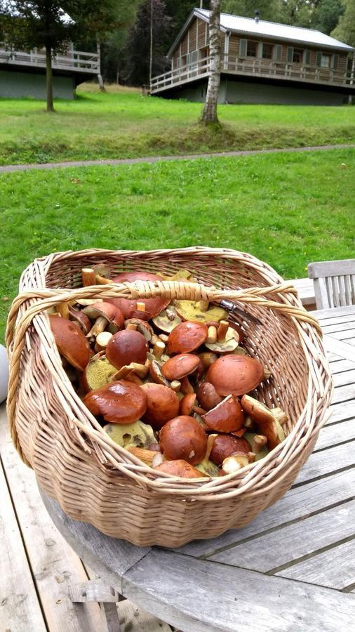 Chalet Le Forestier 比林根 外观 照片