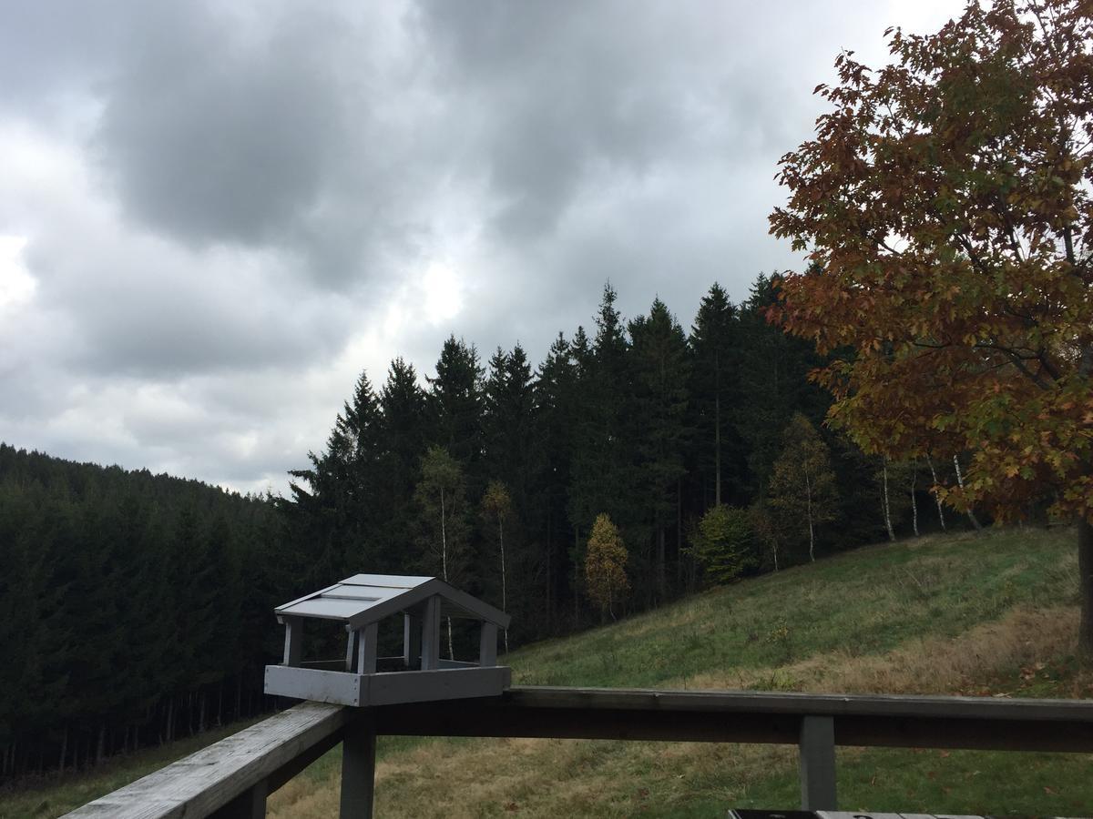 Chalet Le Forestier 比林根 外观 照片