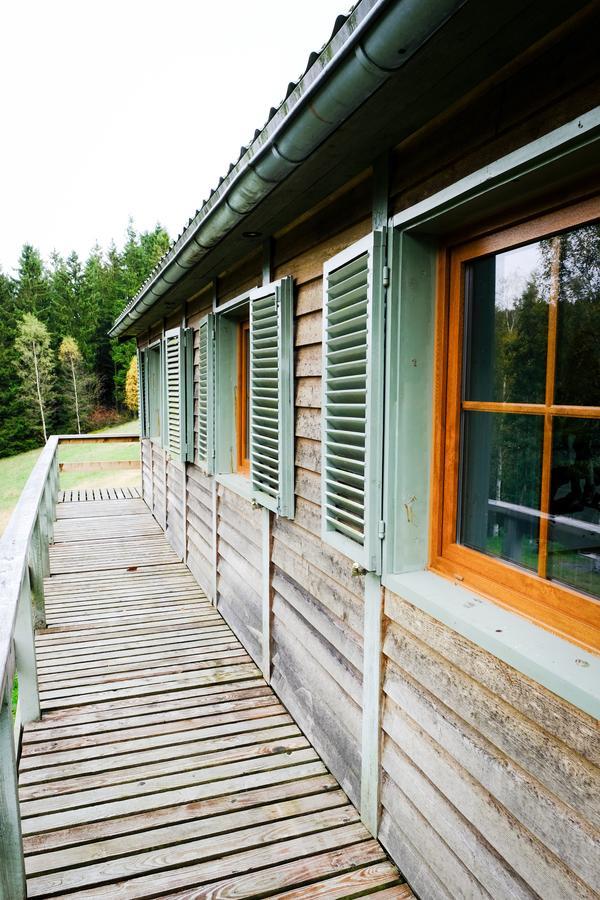 Chalet Le Forestier 比林根 外观 照片