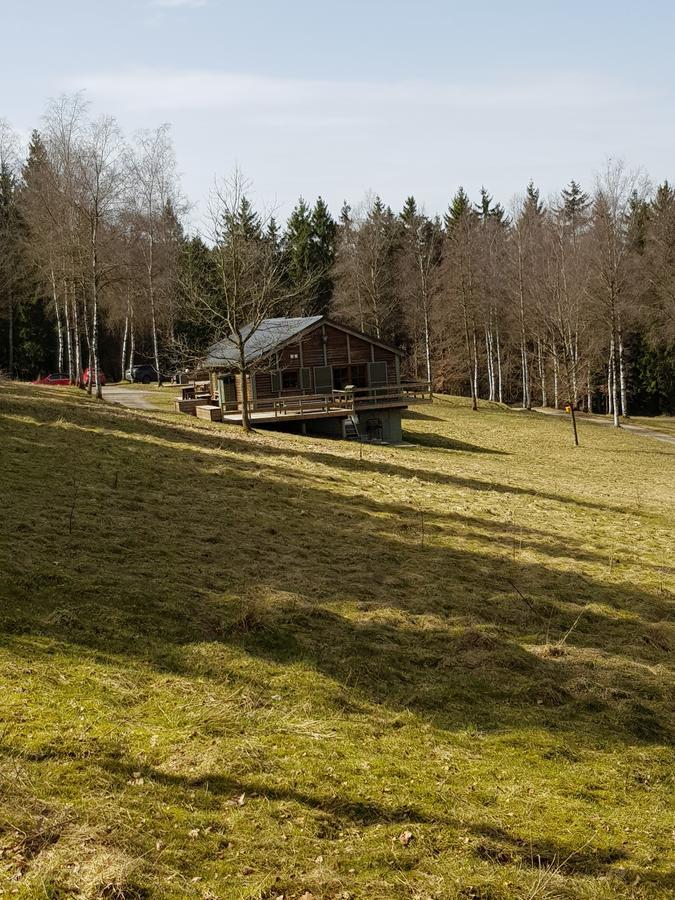 Chalet Le Forestier 比林根 外观 照片