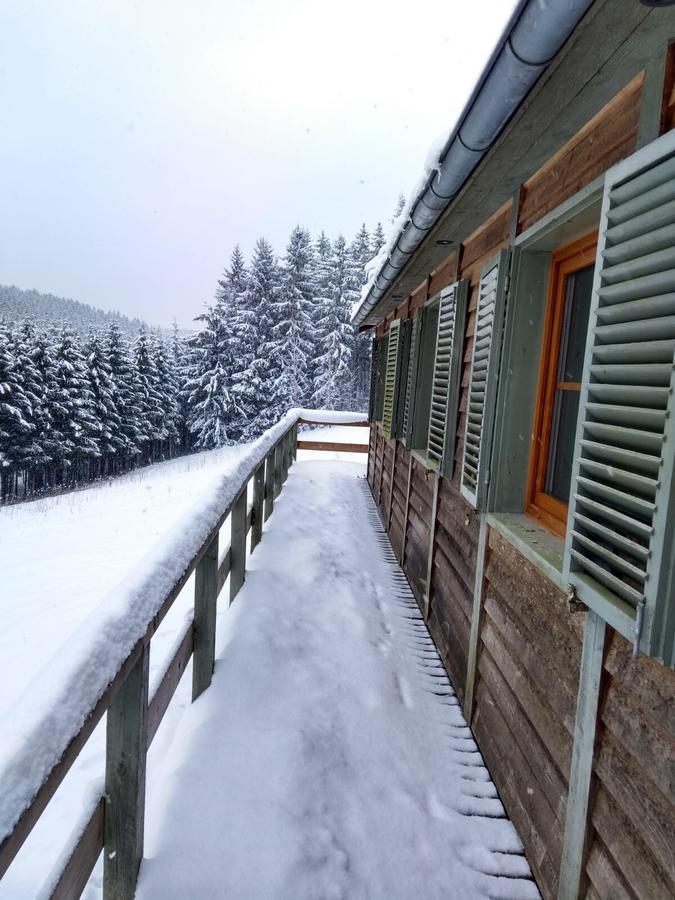 Chalet Le Forestier 比林根 外观 照片