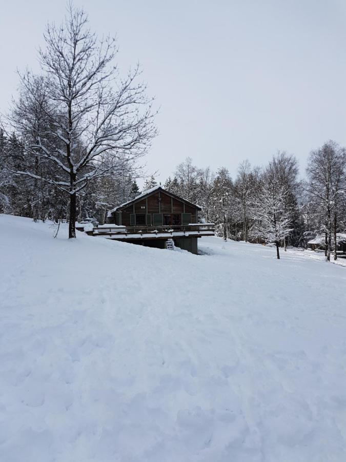 Chalet Le Forestier 比林根 外观 照片